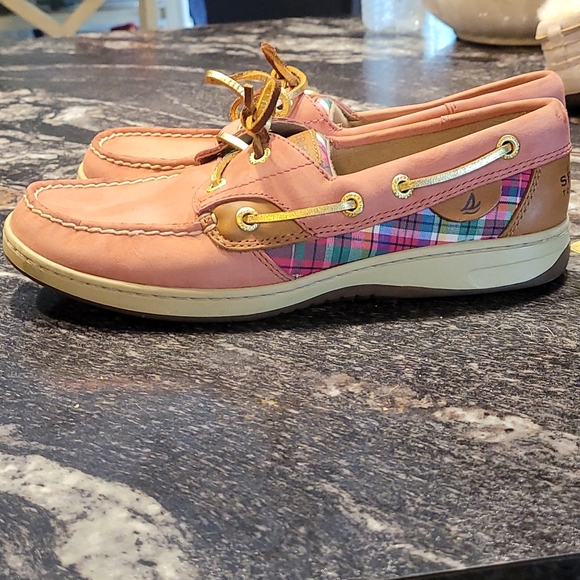 Speedy top side - Picture 2 of 5